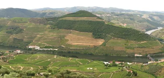 Dorigem 팜스테이